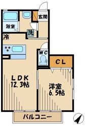 メゾンシエナの物件間取画像